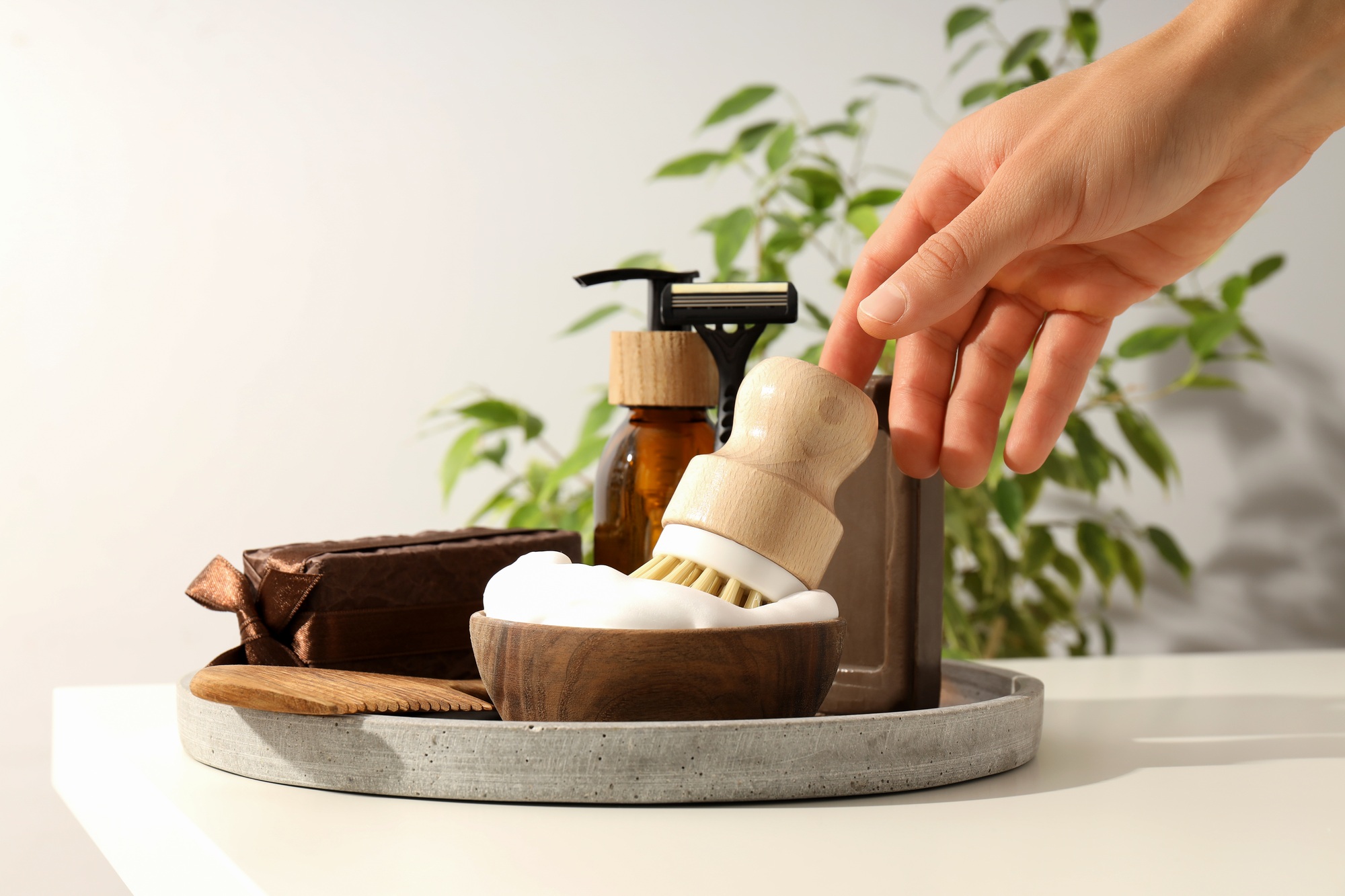 Men's shaving tools, hand and plant on light background